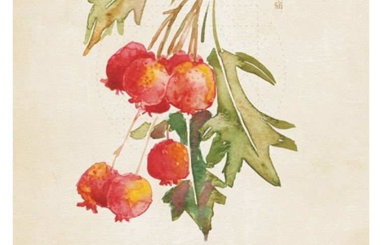 1760101996375158.jpg imgi_19_1738829123258318.jpg