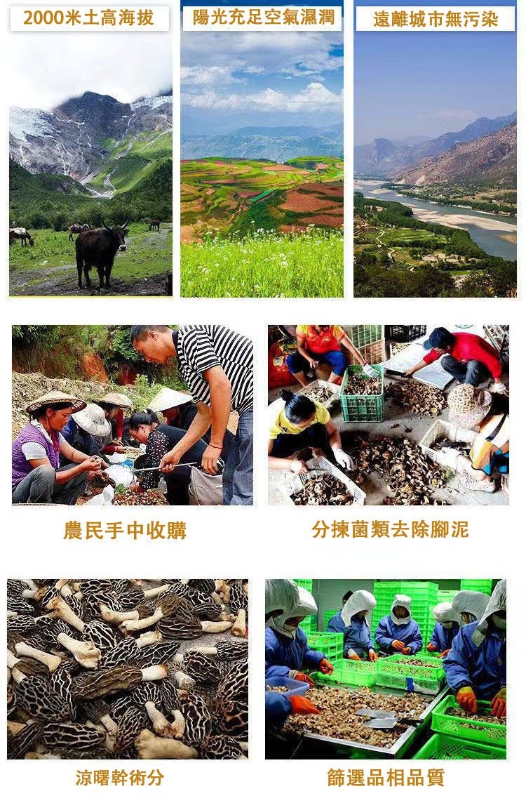 1761190044604957.jpg imgi_11_1736913612593954.jpg