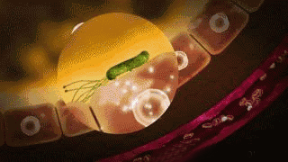 1761374380811257.gif 1761374380811257.gif